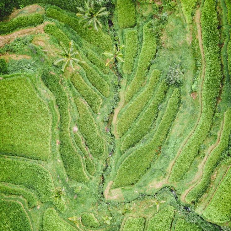 Family terraces and cafés for calm evenings in Naples